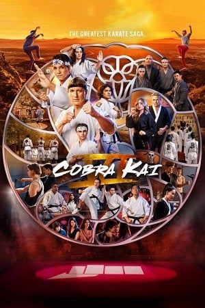 Cobra Kai (2024-2025) Season 6 (Part 1 - 2 - 3) Dual Audio {Hindi-English} NetFlix-Series 480p | 720p | 1080p WEB-DL