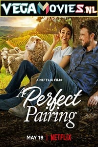 A Perfect Pairing (2022) Dual Audio {Hindi-English} 480p [400MB] | 720p [920MB] | 1080p [2GB]