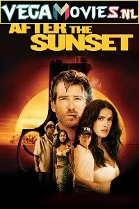 After the Sunset (2004) Dual Audio {Hindi-English} 480p [350MB] | 720p [800MB]