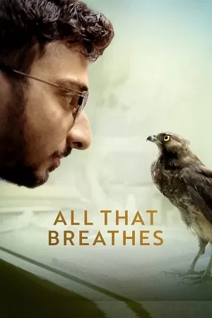 All That Breathes (2022) Dual Audio {Hindi-English} 480p [300MB] | 720p [1GB] | 1080p [3GB]