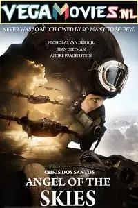 Angel of the Skies (2013) Dual Audio [Hindi + English] WeB-DL 480p [350MB] | 720p [1.2GB]