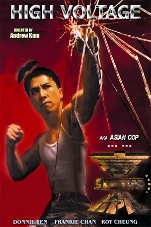 Asian Cop: High Voltage (1994) WEB-DL Dual Audio {Hindi-Chinese} 480p [300MB] | 720p [890MB] | 1080p [1.8GB]