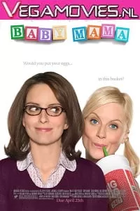 Baby Mama (2008) Dual Audio {Hindi-English} 480p [350MB] | 720p [900MB]