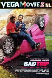 Bad Trip (2020) Dual Audio {Hindi-English} 480p [300MB] | 720p [650MB] | 1080p [1.3GB]