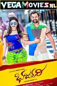 Bharjari (2017) Hindi Dubbed Full Movie WEB-DL 480p [360MB] | 720p [1.2GB] | 1080p [3.5GB]