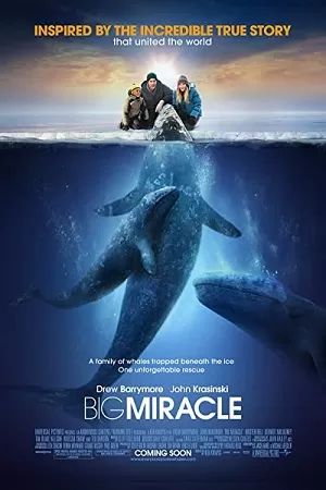 Big Miracle (2012) Dual Audio {Hindi-English} 480p [500MB] | 720p [1GB] | 1080p [2GB]