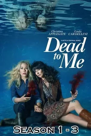 Dead To Me (Season 1 – 3) Dual Audio [Hindi + English] Complete Netflix Web Series 720p [200MB]