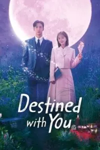 Destined With You – Netflix Original (2023) Season 1 Complete Dual Audio {Hindi-Korean} Series 480p | 720p | 1080p WEB-DL