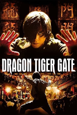 Dragon Tiger Gate (2006) Dual Audio {Hindi-Chinese} BluRay 480p [300MB] | 720p [900MB] | 1080p [2GB]