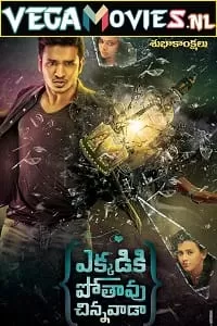 Ekkadiki Pothavu Chinnavada (2016) Hindi Dubbed Full Movie WEB-DL 480p [425MB] | 720p [1GB] | 1080p [3.8GB]