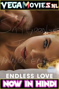 Endless Love (2014) Dual Audio {Hindi-English} 480p [350MB] | 720p [900MB] | 1080p [1.8GB]