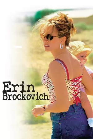 Erin Brockovich (2000) BluRay Dual Audio {Hindi-English} 480p [550MB] | 720p [1.4GB] | 1080p [3.3GB]