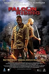 Falcon Rising (2014) Dual Audio Hindi 480p [300MB] || 720p [800MB]