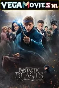 Fantastic Beasts and Where to Find Them (2016) Dual Audio {Hindi-English} 480p [450MB] | 720p [1GB] | 1080p [3GB] | 2160p [5GB]