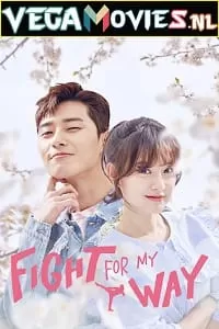 Fight For My Way (Season 1) Dual Audio {Hindi + Korean} Complete WEB Series 480p [180MB] | 720p [400MB] WEB-DL