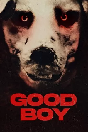 Good Boy (2022) Dual Audio [Hindi + Norwegian] BluRay 480p [350MB] | 720p [750MB] | 1080p [1.7GB]