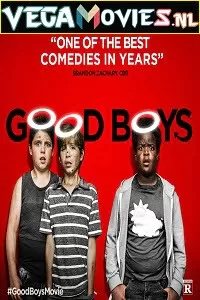 Good Boys (2019) Dual Audio {Hindi-English} 480p [300MB] | 720p [650MB] | 1080p [1.3GB]