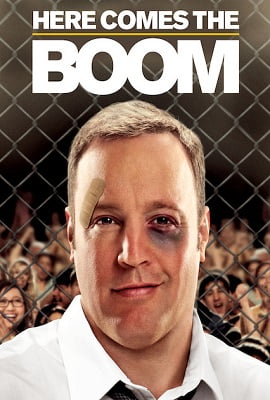 Here Comes the Boom (2012) Dual Audio Hindi 480p [350MB] | 720p [800MB]