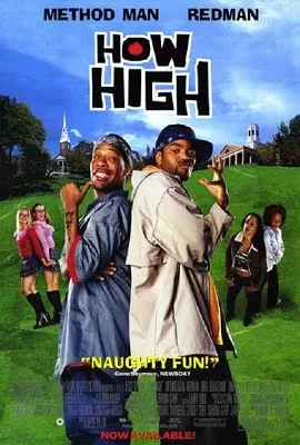 How High (2001) Dual Audio {Hindi-English} 480p [330MB] | 720p [950MB] | 1080p [2.8GB]