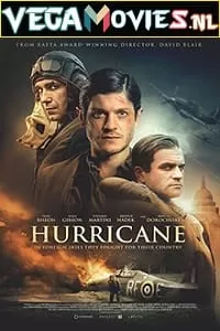 Hurricane (2018) Dual Audio {Hindi-English} 480p [350MB] | 720p [1GB] | 1080p [2.2GB]