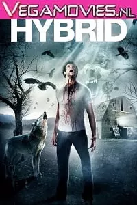 Hybrid (2015) Dual Audio {Hindi-English} 480p [300MB] | 720p [830MB]