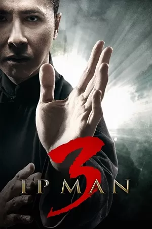 Ip Man 3 (2015) Dual Audio [Hindi + Chinese] WeB-DL 480p [350MB] | 720p [900MB] | 1080p [2.1GB]