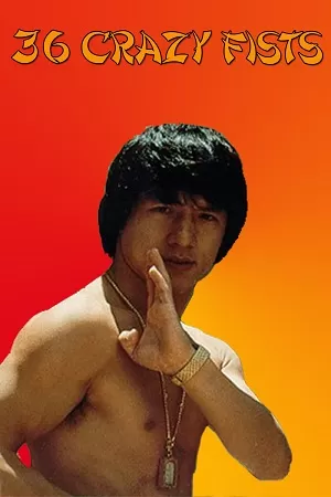 The 36 Crazy Fists – Jackie Chan And The 36 Crazy Fists (1977) BluRay Dual Audio {Hindi-English} 480p [300MB] | 720p [870MB] | 1080p [1.8GB]