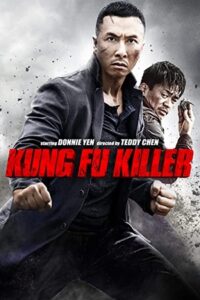 Kung Fu Jungle (2014) BluRay Dual Audio {Hindi-Chinese} 480p [400MB] | 720p [950MB] | 1080p [2GB]