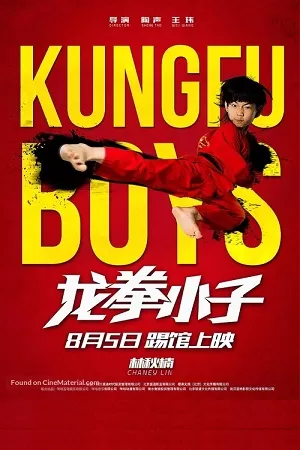 KungFu Boys (2016) Dual Audio {Hindi-Chinese} 480p [350MB] | 720p [850MB] | 1080p [1.5GB]