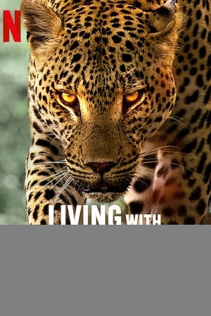 Living with Leopards (2024) {English with Subtitles} Full Movie WEB-DL 480p [200MB] | 720p [570MB] | 1080p [1.3GB]