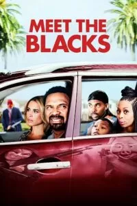 Meet the Blacks (2016) BluRay Dual Audio {Hindi-English} 480p [350MB] | 720p [800MB] | 1080p [2GB]