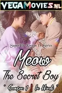 Meow the Secret Boy (2020) Season 1 Hindi Dubbed Complete MX Player WEB Series 480p [2GB] | 720p [5GB] WEB-DL