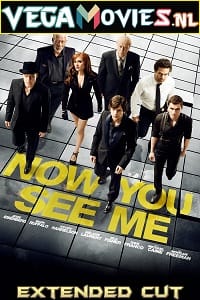 Now You See Me (2013) BluRay [Extended Cut] Dual Audio {Hindi-English} 480p [400MB] | 720p [1.2GB] | 1080p [3.2GB]