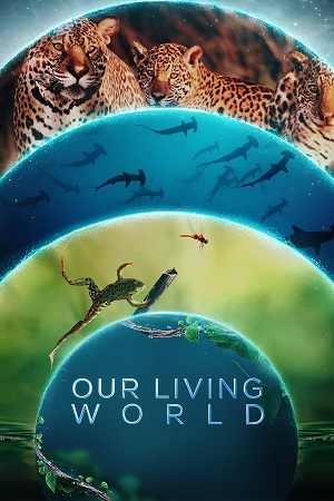 Our Living World (Season 1) Dual Audio {Hindi ORG. + English} 480p | 720p | 1080p