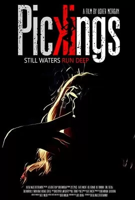 Pickings (2018) Dual Audio {Hindi-English} 480p [300MB] | 720p [900MB]