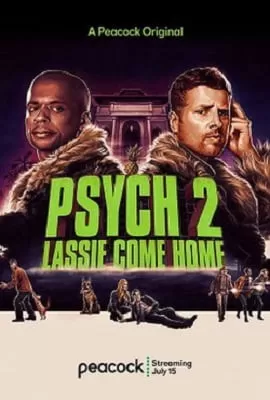 Psych 2 (2020) Dual Audio {Hindi-English} 480p [300MB] | 720p [800MB]