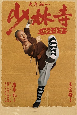 Rising Shaolin: The Protector (2021) HDRip Dual Audio {Hindi-Chinese} 480p [350MB] | 720p [1GB]