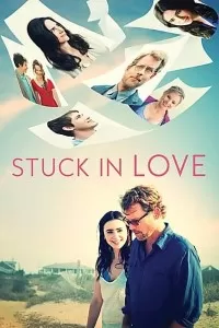 Stuck in Love (2012) Dual Audio {Hindi-English} 480p [300MB] | 720p [800MB] | 1080p [1.5GB] BluRay