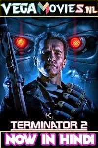 Terminator 2: Judgment Day (1991) Dual Audio {Hindi-English} 480p [500MB] | 720p [1.4GB] | 1080p [3.8GB]