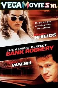 The Almost Perfect Bank Robbery (1997) Dual Audio [Hindi-English] WeB-DL 480p [350MB] | 720p [950MB]