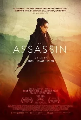 The Assassin (2015) Dual Audio {Hindi-English} 480p [350MB] | 720p [1GB]