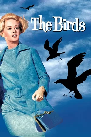 The Birds (1963) Dual Audio {Hindi-English} 480p [400MB] | 720p [1.2GB] | 1080p [2.5GB]