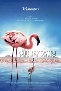 The Crimson Wing Mystery of the Flamingos (2008) Dual Audio {Hindi-English} 480p [300MB] | 720p [1GB]