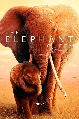 The Elephant Queen (2019) WEB-DL Dual Audio {Hindi-English} 480p [320MB] | 720p [900MB] | 1080p [2GB]