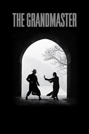 The Grandmaster (2013) WEB-DL MULTi-Audio {Hindi-English-Chinese} 480p [470MB] | 720p [1.3GB] | 1080p [2.6GB] Full-Movie