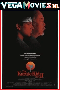 The Karate Kid Part 2 (1986) Dual Audio {Hindi-English} 480p [400MB] | 720p [820MB] | 1080p [3GB]