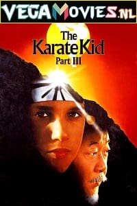 The Karate Kid Part 3 (1989) Dual Audio {Hindi-English} 480p [400MB] | 720p [850MB] | 1080p [3.7GB]