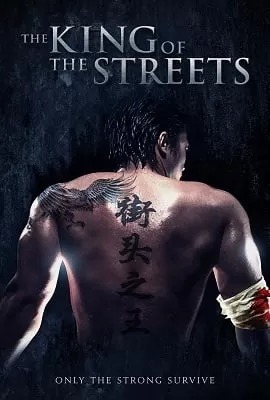 The King of the Streets (2012) Dual Audio {Hindi-English} 480p [300MB] | 720p [1GB]