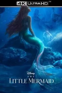 The Little Mermaid (2023) BluRay Dual Audio {Hindi ORG 5.1 – English} 480p [450MB] | 720p [1.4GB] | 1080p [3.2GB] | 2160p [25GB]