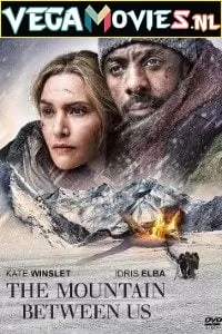 The Mountain Between Us (2017) Dual Audio [Hindi-English] 480p [350MB] | 720p [1.1GB]